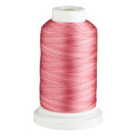 将图片加载到图库查看器,Birch Variegated Rayon Embroidery Thread 1000m