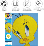 将图片加载到图库查看器,Diamond Dotz® Looney Tunes Tweety Diamond Painting Kit