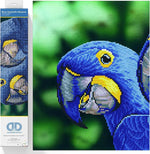 Load image into Gallery viewer, Diamond Dotz® Blue Hyacinth Macaws Diamond Painting Kit – 37cm x 52cm