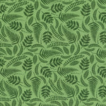 将图片加载到图库查看器,Ferns