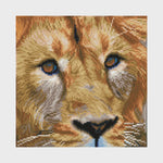 Load image into Gallery viewer, Diamond Dotz® Serengeti Magic Diamond Painting Kit – 30.5cm x 30.5cm