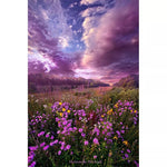 Load image into Gallery viewer, Paint by Number - Purple Sky