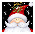 Load image into Gallery viewer, Diamond Art - Range B