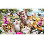 Load image into Gallery viewer, Diamond Art - Range A