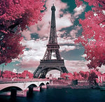 Load image into Gallery viewer, Diamond Art - Range B