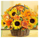 Load image into Gallery viewer, Diamond Art - Range B