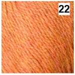 Load image into Gallery viewer, Countrywide Purrino 8ply