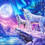 Load image into Gallery viewer, Paint by Number - White Wolf Moon