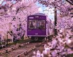 Load image into Gallery viewer, Paint by Number - Cherry Blossom Express
