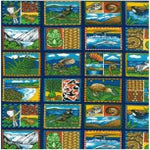 Load image into Gallery viewer, Kiwi Icons