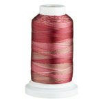 将图片加载到图库查看器，Birch Variegated Rayon Embroidery Thread 1000m
