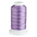 将图片加载到图库查看器，Birch Variegated Rayon Embroidery Thread 1000m
