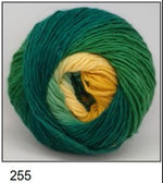 Load image into Gallery viewer, Countrywide Rainbow Spun 8Ply 100g
