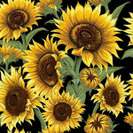 Load image into Gallery viewer, Nutex Laminated Fabric Range – Waterproof Cotton Laminate
