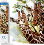 Load image into Gallery viewer, Diamond Dotz® Tall &amp; Tender Diamond Painting Kit – 40cm x 40cm
