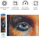 将图片加载到图库查看器，Diamond Dotz® Love 2 See Rainbows Diamond Painting Kit – 40cm x 60cm
