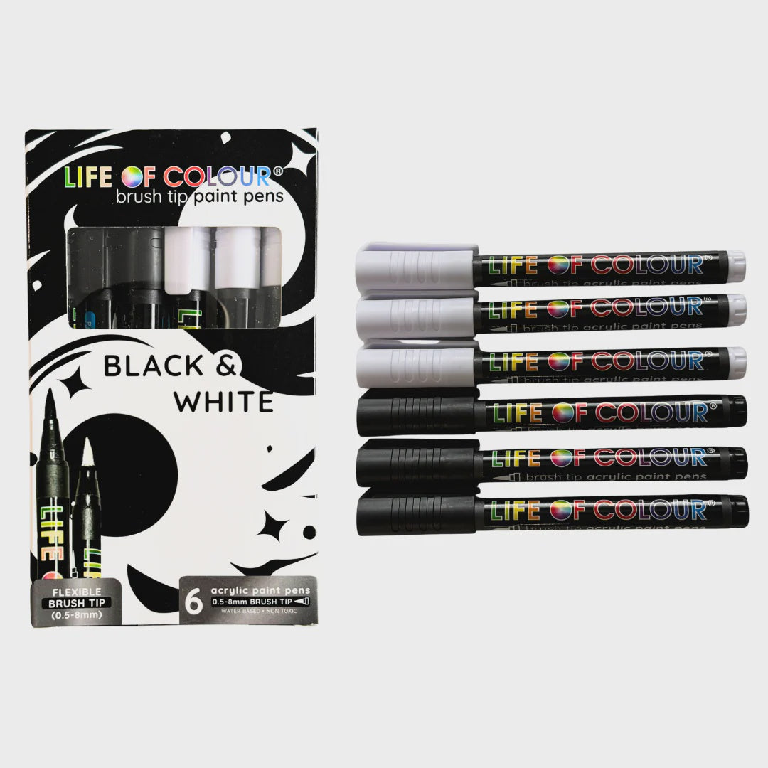 Brush Tip Acrylic Paint Pens - Black & White - (0.5 -8mm)