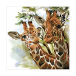 Load image into Gallery viewer, Diamond Dotz® Tall &amp; Tender Diamond Painting Kit – 40cm x 40cm
