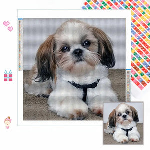 Shih Tzu Diamond Art 30cm x 30cm