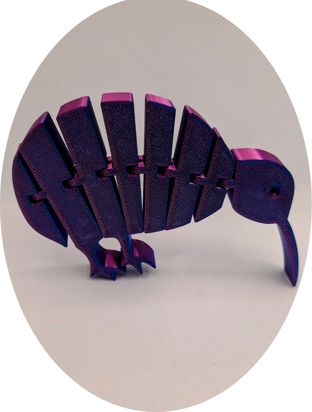 Articulated Kiwi - Large