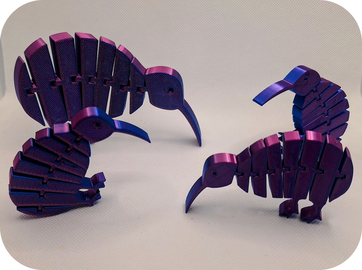 Articulated Kiwi - Small