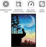 Load image into Gallery viewer, Diamond Dotz® Romantic Heights Diamond Painting Kit – 40cm x 30cm
