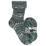 Load image into Gallery viewer, Opal Rainforest 21   4 Ply Sock Yarn - 100g Ball
