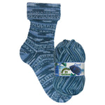 Load image into Gallery viewer, Opal Rainforest 21   4 Ply Sock Yarn - 100g Ball
