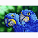 Load image into Gallery viewer, Diamond Dotz® Blue Hyacinth Macaws Diamond Painting Kit – 37cm x 52cm
