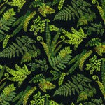 Load image into Gallery viewer, Ferns
