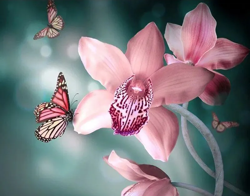 Paint by Number - Pink Butterfly