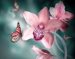 Load image into Gallery viewer, Paint by Number - Pink Butterfly
