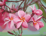 Load image into Gallery viewer, Paint by Number - Pretty in Pink
