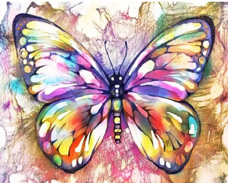 Paint by Number - Rainbow Butterfly