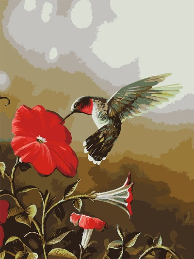 Winnie's Picks - Ruby Throated Hummingbird