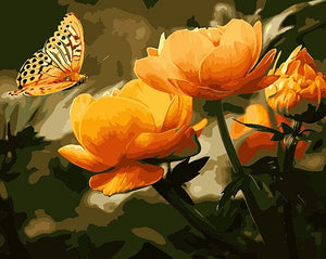 Winnie's Picks - Peach Butterfly in the Summer