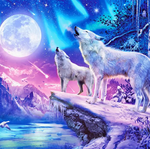 将图片加载到图库查看器，Paint by Number - White Wolf Moon

