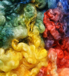 English Leicester Rainbow Dyed Fibre