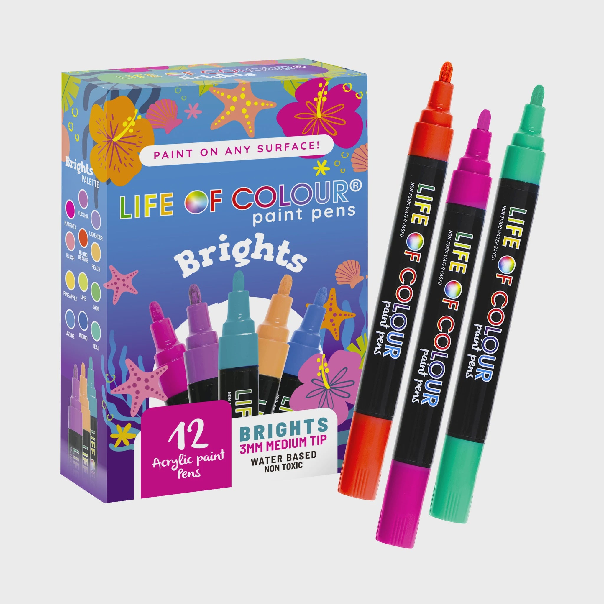 Bright Colour Paint Pens - Medium Tip